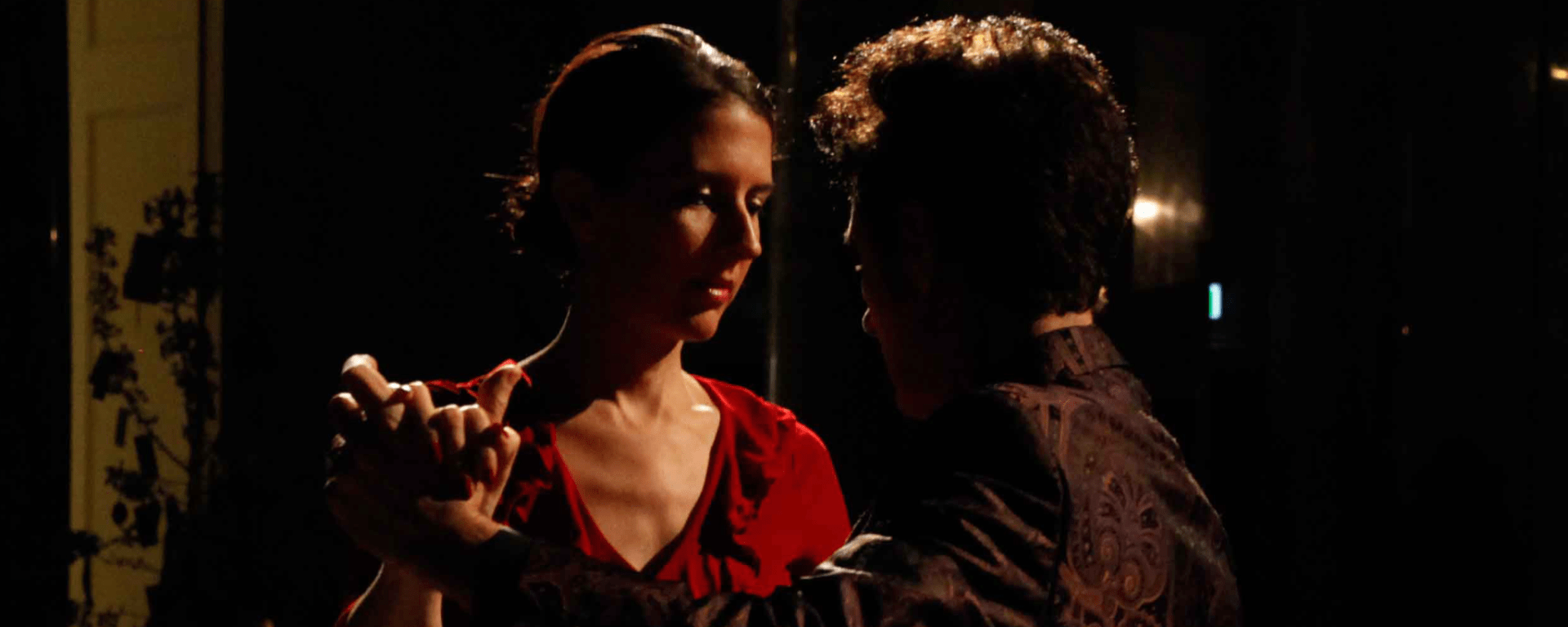 Tango dancers in Palais Hofburg Vienna